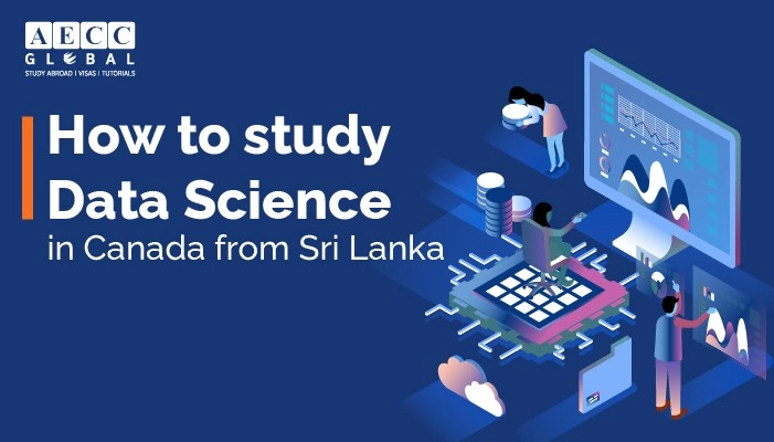 How to Study Data Science In Canada for International Students